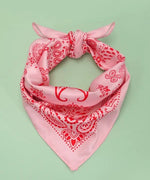 Pink and Red Paisley Scarf